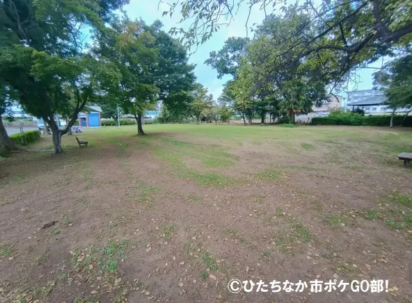 公園の広場