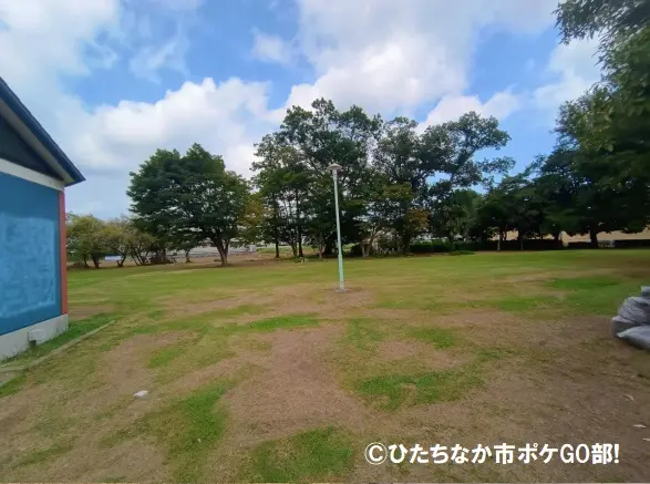 公園の広場
