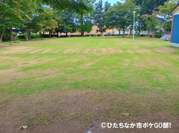 公園の広場