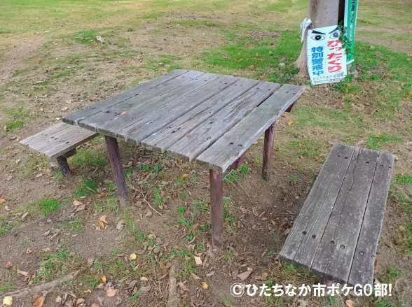 ベンチ(大)