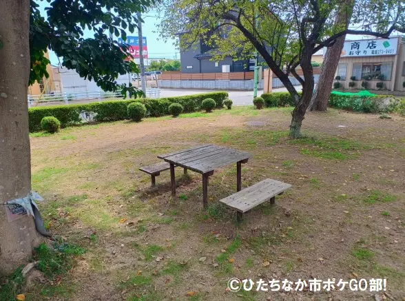 ベンチ(大)