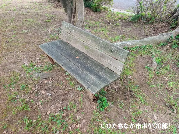 ベンチ