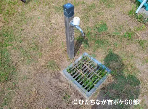 水道