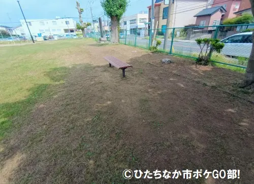 広場のベンチ