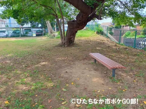 広場のベンチ(こかげ)