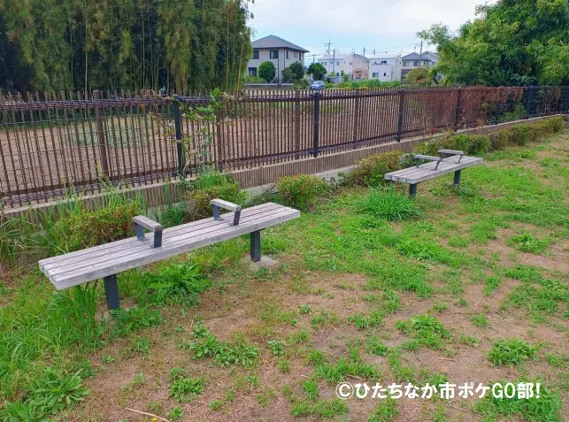 ベンチ