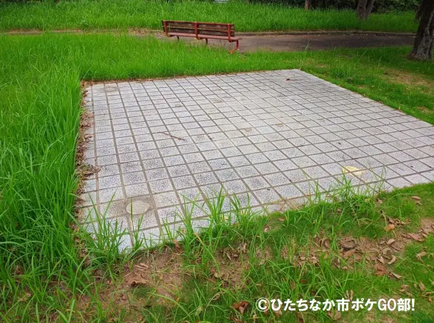 屋根付きベンチの撤去後