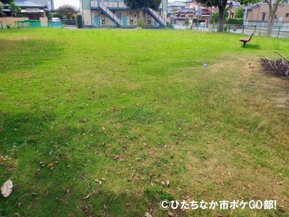 公園の広場