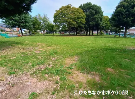 公園の広場