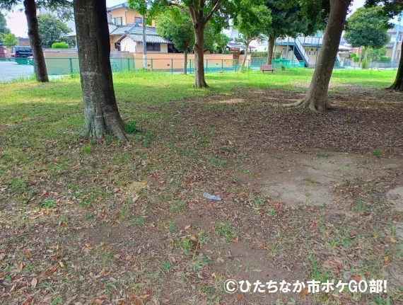 公園の広場(木陰)