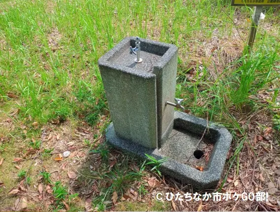 水道