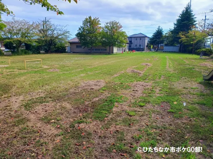 公園広場