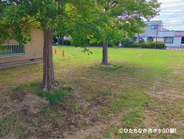 公園広場(木陰)
