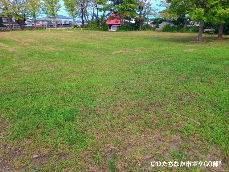 公園広場