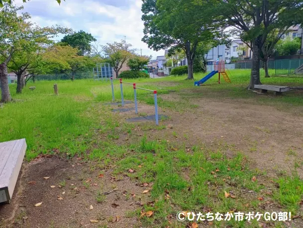 公園広場
