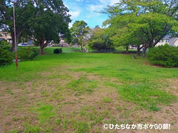 公園広場
