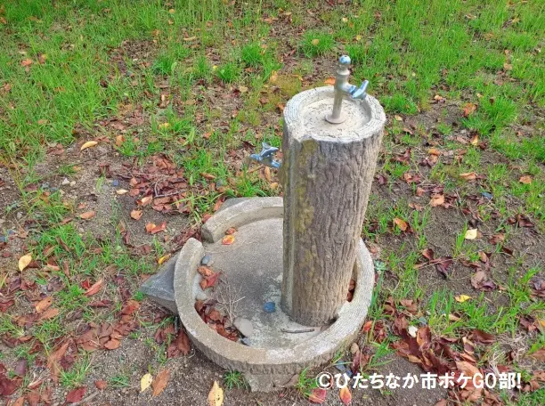 水道