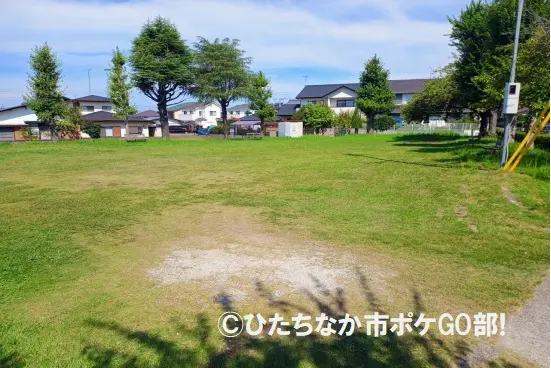 芝生の広場