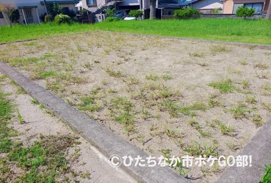 ブランコ