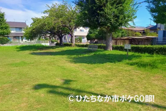 芝生広場
