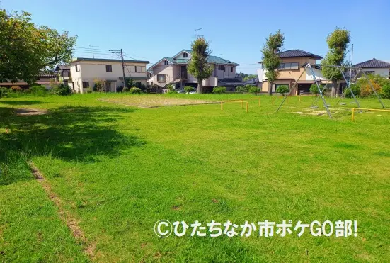 芝生広場