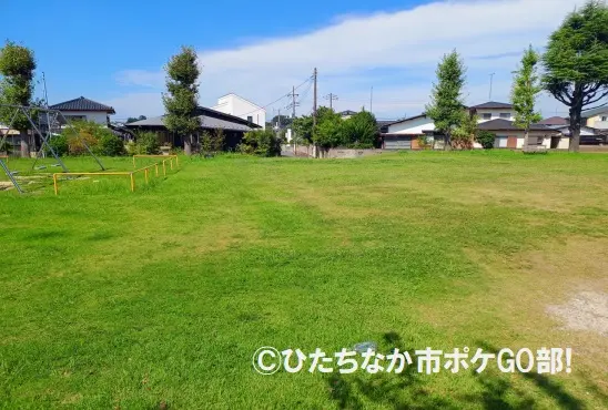 芝生広場