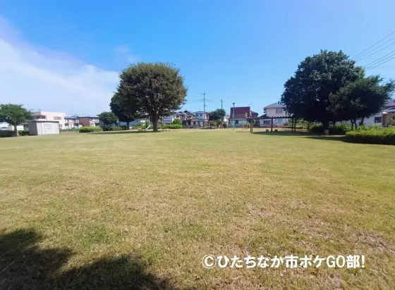 芝生