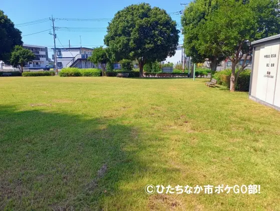 芝生