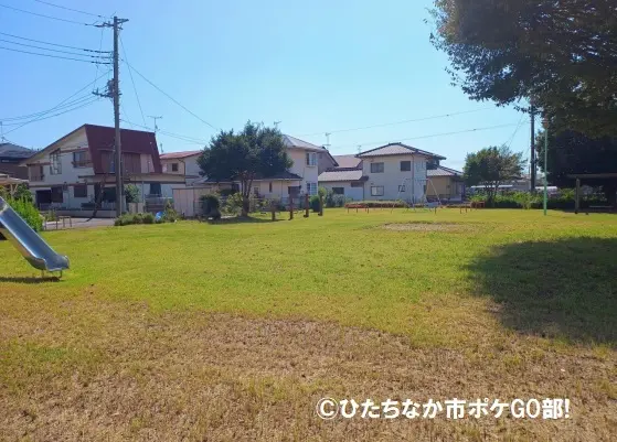 芝生