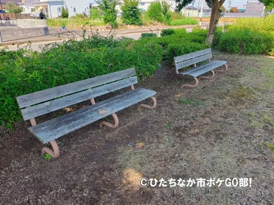 ベンチ