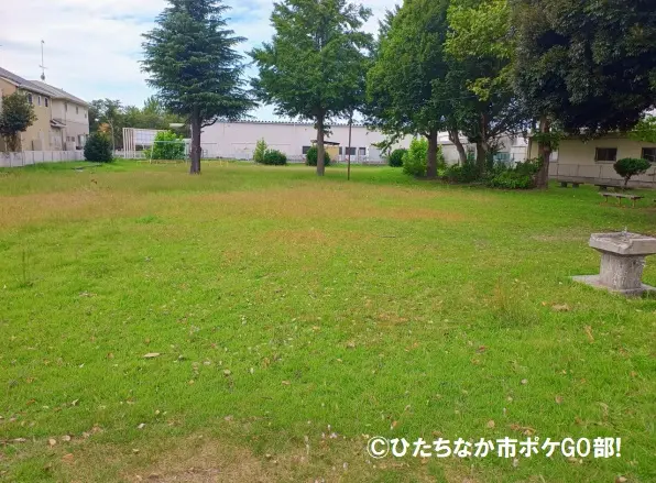 公園広場