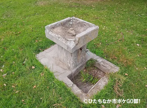 水飲み水道