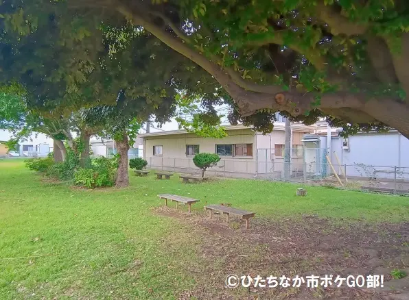 木の下のベンチ