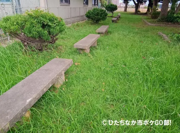 ベンチ