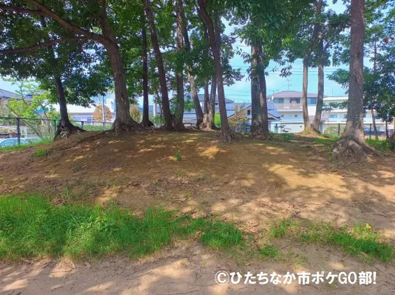 小さな丘