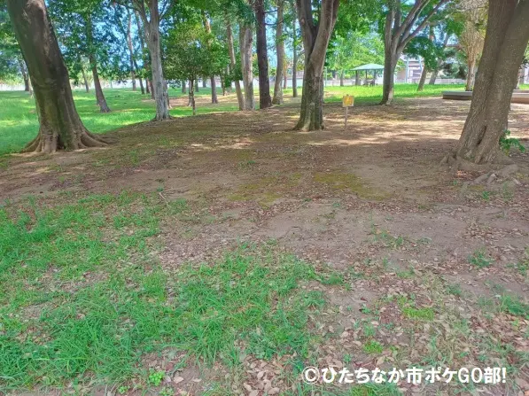 草木