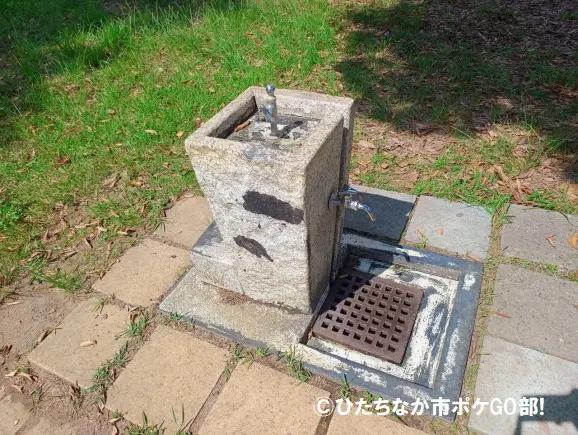 水飲み水道