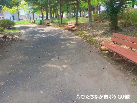 遊歩道とベンチ