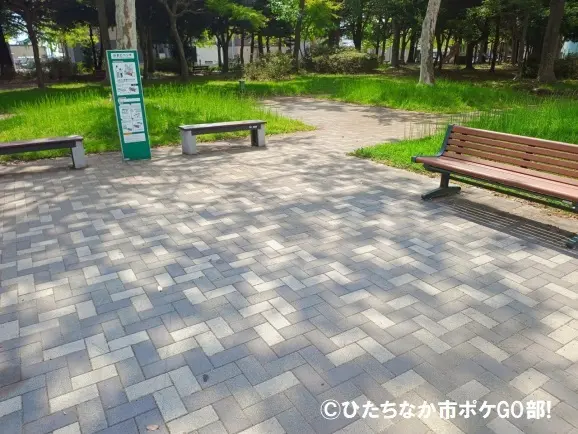 遊歩道とベンチ