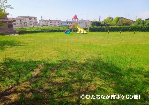 公園の風景