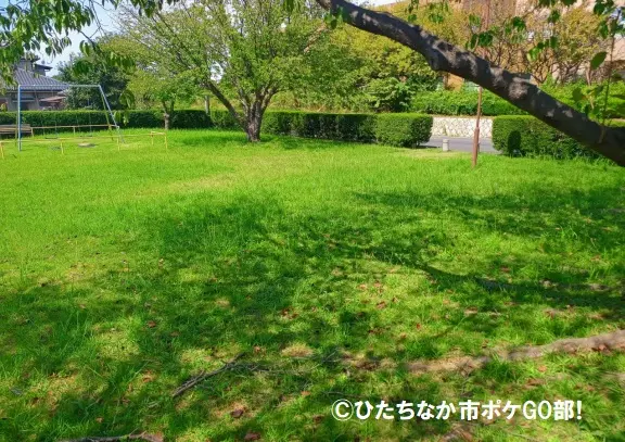 公園の風景