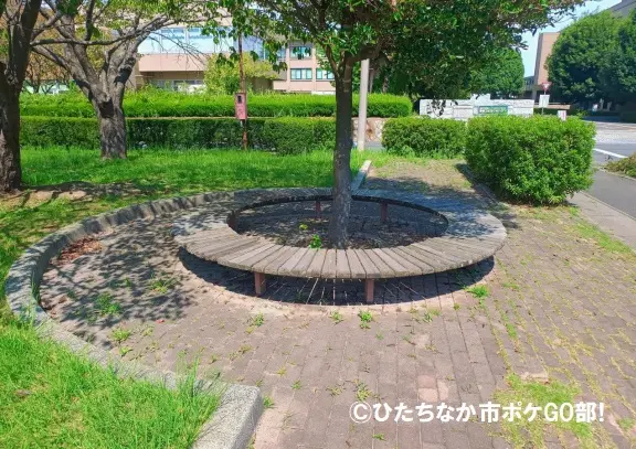 丸型ベンチ
