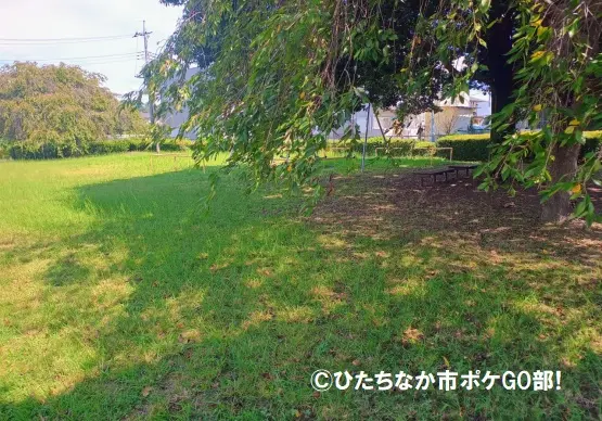 木陰