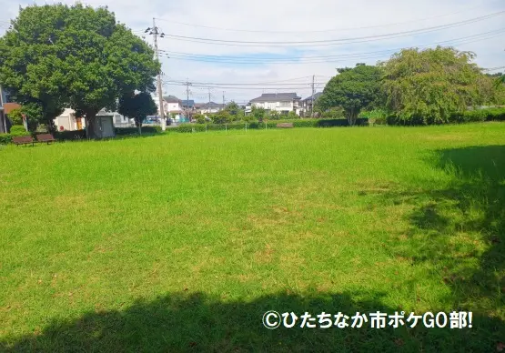 広場