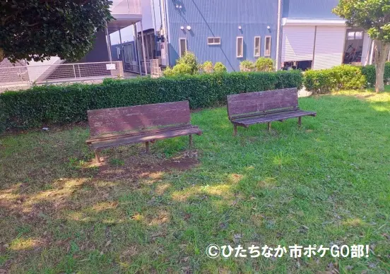 ベンチ