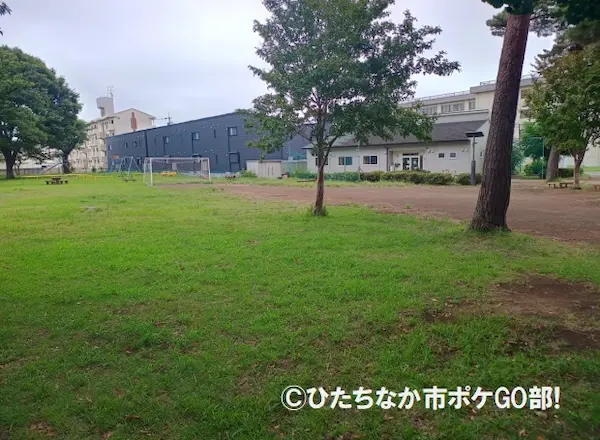 芝生
