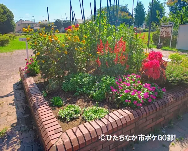 花壇