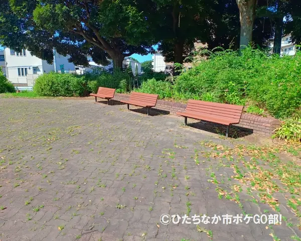 ベンチ