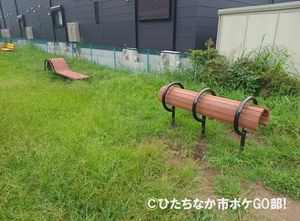 トレーニングができる公園のベンチ
