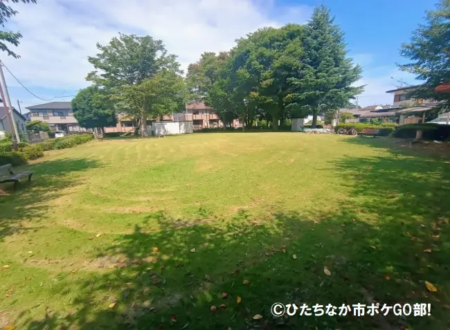 公園の風景